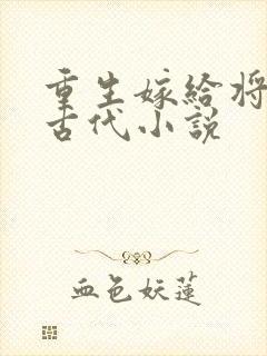 重生嫁给将军的古代小说