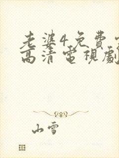 老婆4免费完整高清电视剧在线观看