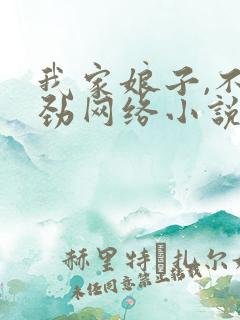 我家娘子,不对劲网络小说