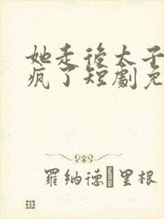 她走后太子爷急疯了短剧免费观看