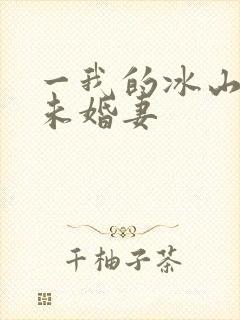 一我的冰山总裁未婚妻