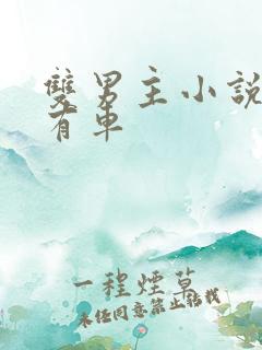 双男主小说推荐有车