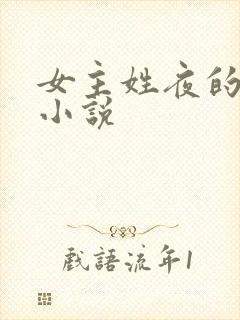 女主姓夜的现代小说