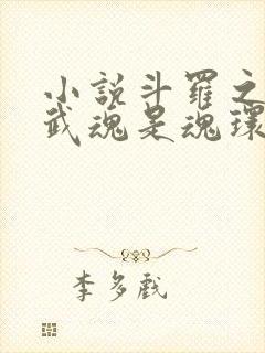 小说斗罗之我的武魂是魂环txt