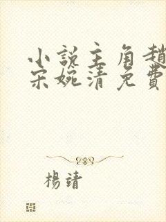 小说主角赵振国宋婉清免费阅读最新章节