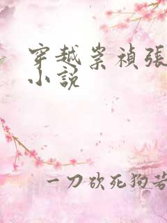 穿越崇祯张凡的小说