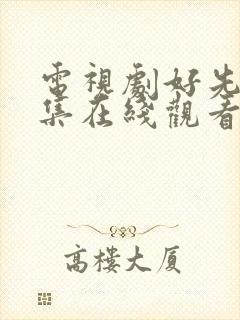 电视剧好先生全集在线观看免费