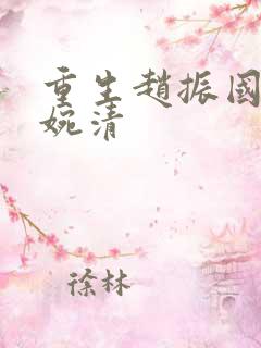 重生赵振国 宋婉清