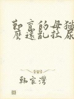 节育的母猫为什么还乱拉尿