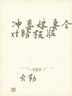 冲喜娘妻全本txt精校版