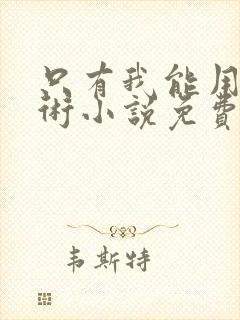 只有我能用召唤术小说免费阅读