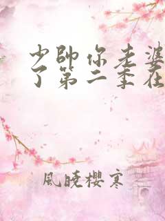 少帅你老婆又跑了第二季在线观看