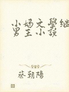 小妈文学继子双男主小说