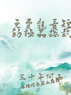 免费观看短剧我的极品总裁老婆