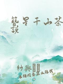 簪星千山茶客小说
