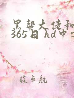 黑帮大佬和我的365日 hd中字