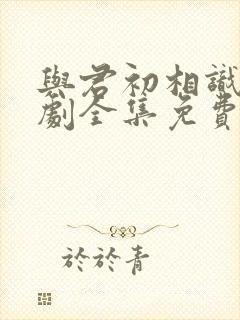 与君初相识电视剧全集免费播放