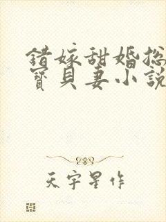 错嫁甜婚总裁的宝贝妻小说完整