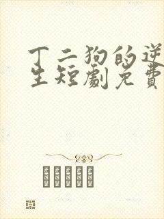 丁二狗的逆袭人生短剧免费