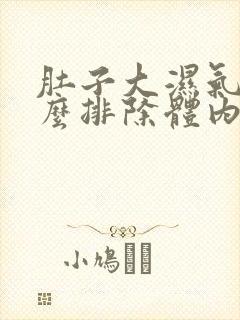 肚子大湿气重怎么排除体内湿气