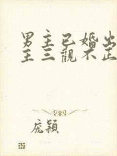 男主已婚出轨女主三观不正小说