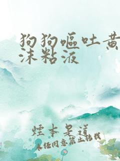 狗狗呕吐黄色泡沫粘液