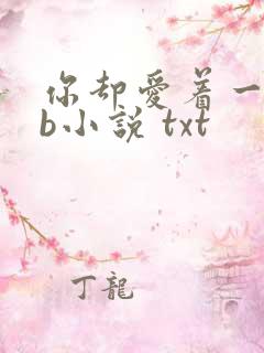 你却爱着一个sb小说 txt