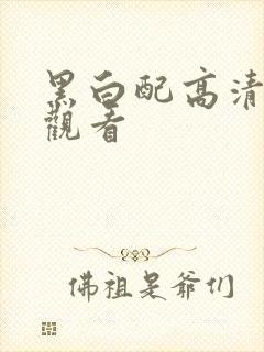 黑白配高清在线观看