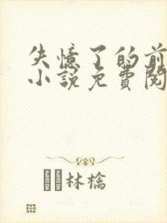 失忆了的前男友小说免费阅读