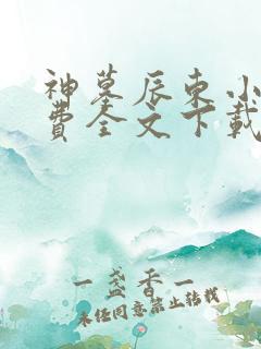 神墓辰东小说免费全文下载