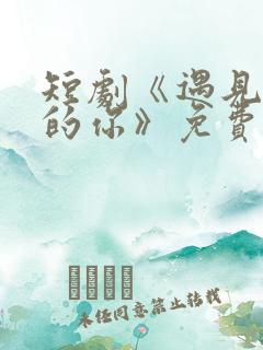 短剧《遇见正确的你》免费观看