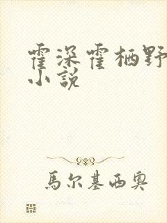 霍深霍栖野夏稚小说