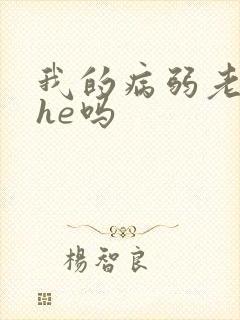 我的病弱老婆是he吗