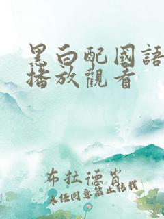 黑白配国语在线播放观看