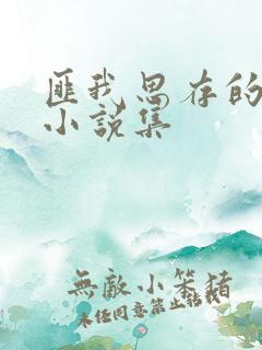 匪我思存的全部小说集