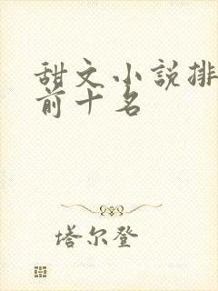 甜文小说排行榜前十名
