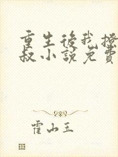 重生后我撩了皇叔小说免费阅读