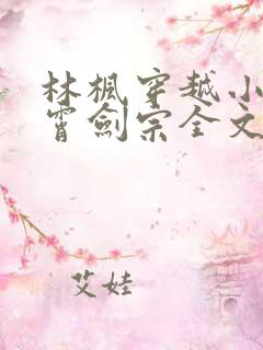 林枫穿越小说神霄剑宗全文阅读578