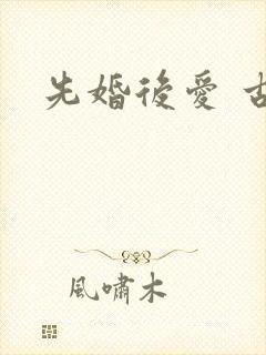 先婚后爱 古言