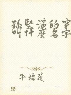 孙坚演的穿越剧叫什么名字