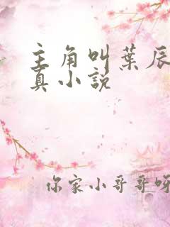 主角叫叶辰的修真小说