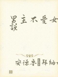 男主不爱女主小说