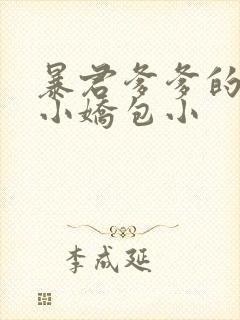 暴君爹爹的团宠小娇包小