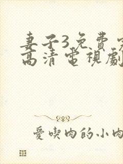 妻子3免费完整高清电视剧在线看