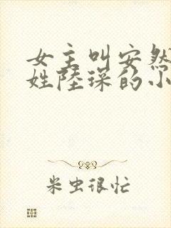 女主叫安然男主姓陆琛的小说