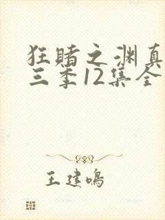 狂赌之渊真人版三季12集全