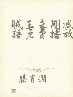 贼王未删减版粤语免费播放