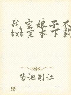 我家娘子不对劲txt完本下载