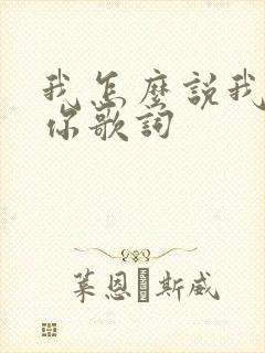 我怎么说我不爱你歌词