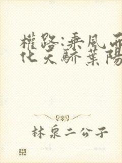 权路:乘风而起化天骄叶阳全文